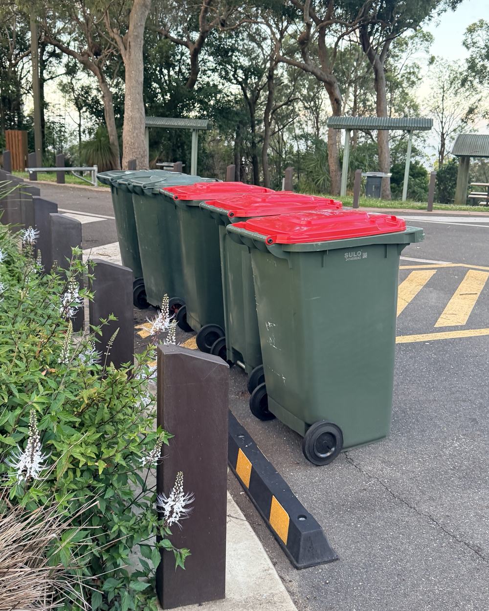 A row of freshly cleaned red-lid wheelie bins